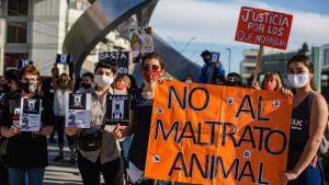 Marcharon y entregaron petitorios contra el maltrato animal en Roca