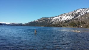 Murió ahogado un policía de Neuquén en el lago Moquehue