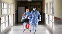 Imagen de Neuquén sumará 23 médicos recién recibidos para luchar contra el coronavirus