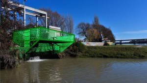 Colocarán canastos para evitar que los residuos lleguen al río en Viedma