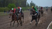 Imagen de Asaltaron el Hípico de Conesa y mataron a dos caballos