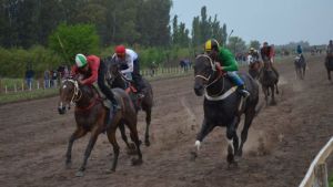Asaltaron el Hípico de Conesa y mataron a dos caballos