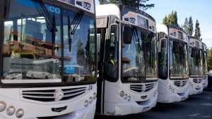 Cuatro días de paro de transporte en Bariloche