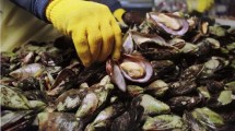 Imagen de Alertan por la presencia de marea roja en playas del Camino de la Costa