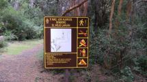 Imagen de Encapuchados agreden a dos guardaparques en el parque Los Alerces