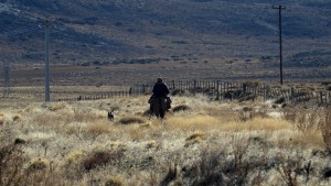 La agente sanitaria de Pilcaniyeu que se trasladaba a caballo y en bicicleta