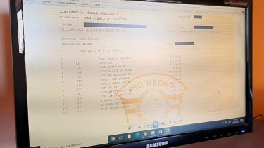 Casi 20.000 estatales de Río Negro accederán a sus recibos de sueldo en formato digital