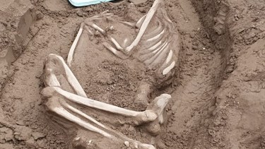 Podrían ser los restos más antiguos encontrados en la ciudad. La data de muerte es superior a los 100 años. (Foto: gentileza)