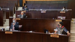 La oposición ve insuficientes las medidas en Neuquén y alerta un colapso