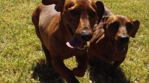 Pronóstico: el miércoles llega fresquito a la región