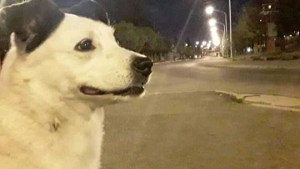 Pronóstico: así estará este jueves en la región