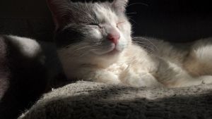 Pronóstico: ¿Saldrá el sol este miércoles en la región?