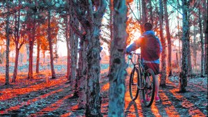 El encanto de un atardecer cipoleño