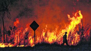 Bomberos, héroes vivientes