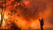 Imagen de VIDEO: ¿Cómo reducir los incendios forestales?: charla de RÍO NEGRO con el científico Guillermo Defossé