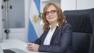 Lewin, defensora del Público, expone en una bicameral del Congreso.