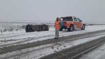 Imagen de No se puede transitar durante parte de la mañana en varias rutas de Neuquén por la ola polar
