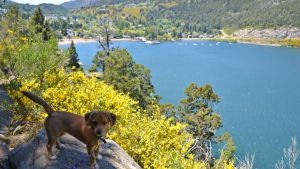 Pronóstico: se viene un martes soleado y cálido en la región