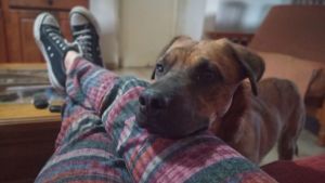 Pronóstico: se mantiene fresco este martes en la región