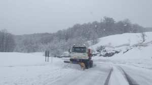 Alerta por nevadas y viento en Neuquén y Río Negro