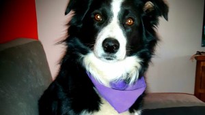 Pronóstico: ¿Vuelve el frío este martes a la región?