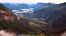 Imagen de Los árboles crecen más rápido, pero mueren antes por el impacto del calentamiento global