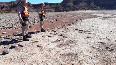 Según los especialistas las huellas  encontradas en Villa El Chocón pertenecerían a un dinosaurio bípedo del  periodo Cretácico.  Foto: Gentileza  @PrefecturaNaval