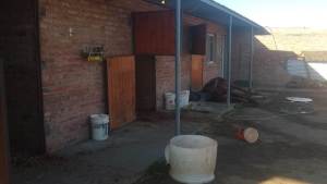 Prisión para el tercer imputado por matar a tres caballos en Conesa