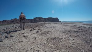 La historia de las huellas de dinosaurios encontradas en Villa El Chocón