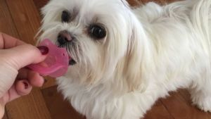 Pronóstico: el jueves se mantiene fresco en la región