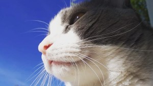 Pronóstico: ¿Suben las temperaturas este viernes en la región?