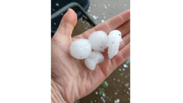 Con tamaño variado, el granizo cayó en chacras entre Godoy y Valle Azul. (Foto Néstor Salas)