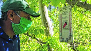 Productores en alerta por las heladas de la primavera