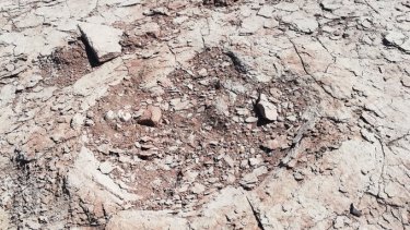 Las pisadas encontradas en Villa El Chocón tienen entre 40 y 60 centímetros de longitud.  Foto: Gentileza @PrefecturaNaval