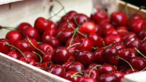 Senasa realiza la inspección fitosanitaria de cerezas para su exportación