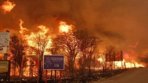 Denuncia penal contra el gobernador Schiaretti por incendios en Córdoba