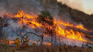 Siguen los incendios en Córdoba: se contuvo en Carlos Paz pero otros están activos
