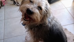 Pronóstico: domingo soleado en la región, para celebrar el día de la madre