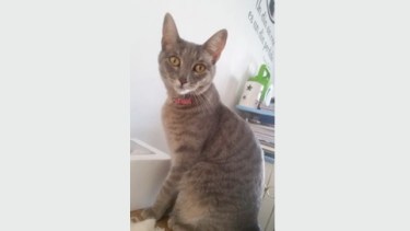 Pronóstico: el miércoles ¿se mantiene soleado en la región?