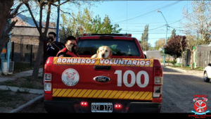 Video: audaz rescate de bomberos de Roca para salvar a un perro
