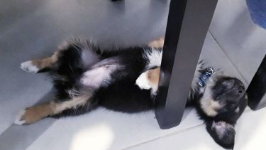 Pronóstico: el primer lunes de noviembre llega muy caluroso en la región