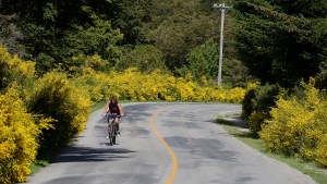 Bariloche, la ciudad preferida por los turistas con el plan Previaje