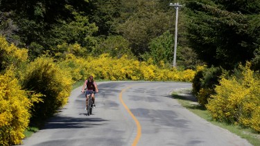El plan PreViaje dio a conocer los intereses de los argentinos para vacacionar en verano y Bariloche está en nivel más alto. Foto: Archivo