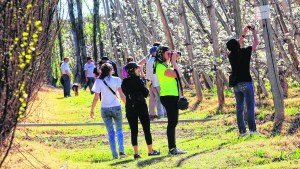 El turismo rural se plantea  como una opción viable