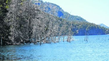 El riesgo sería bajo. En la Patagonia, el riesgo de que se produzca un tsunami en los lagos - como el Traful, en Neuquén- se da porque como resultado de las glaciaciones, las cuencas son muy profundas y muy extensas según el investigador Gustavo Villarosa. El estudio de los lagos sirve para hacer mapas de riesgo. 
