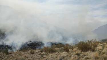El fuego consumió varias hectáreas de pastizales. Foto: gentileza Mauro Traman.