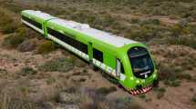 Imagen de El Tren Patagónico aún no tiene fecha de retorno