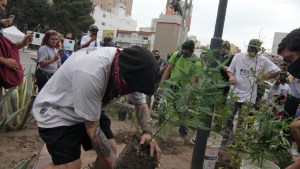 Desaparecieron las plantas de marihuana del «Plantón 2020» en Neuquén