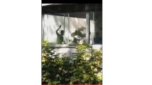 Imagen de Dos mujeres fueron apuñaladas en una escuela de danzas