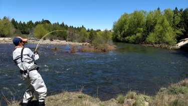 La temporada de pesca comenzó con buen pique en ríos y arroyos de Aluminé y Villa Pehuenia Moquehue. Foto: Ricardo Maoreznic.